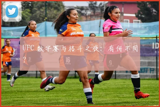 UFC 数字赛与格斗之夜：有何不同？